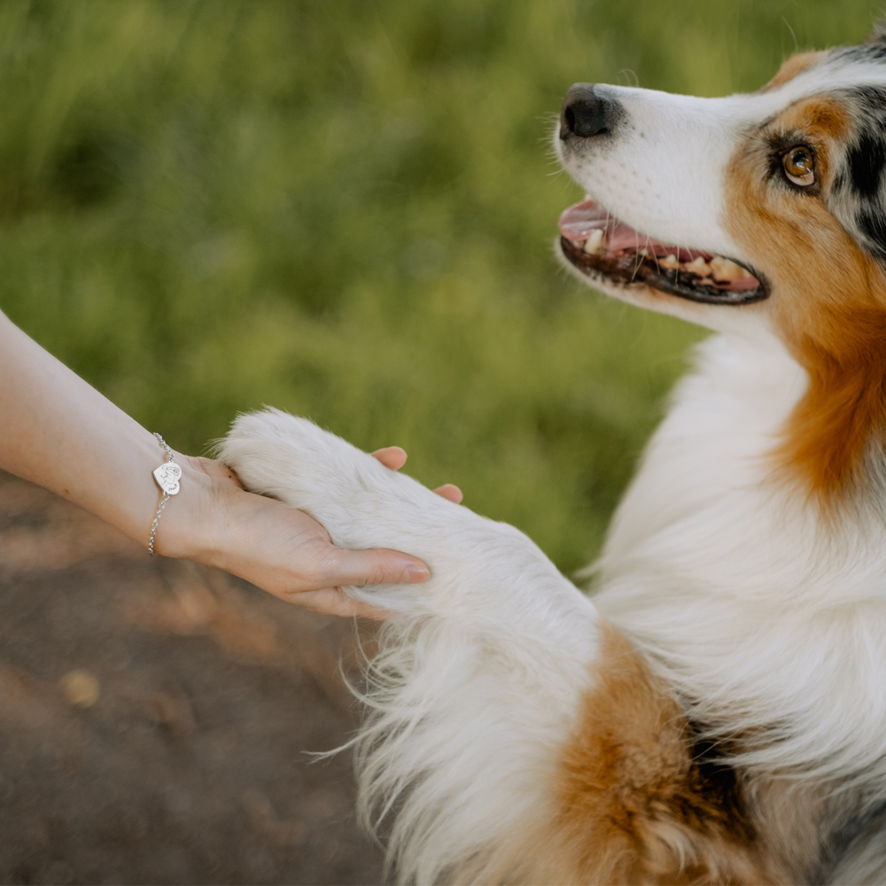 Silbernes Armband mit Namensgravur von eigenem Hund Australian Shepherd