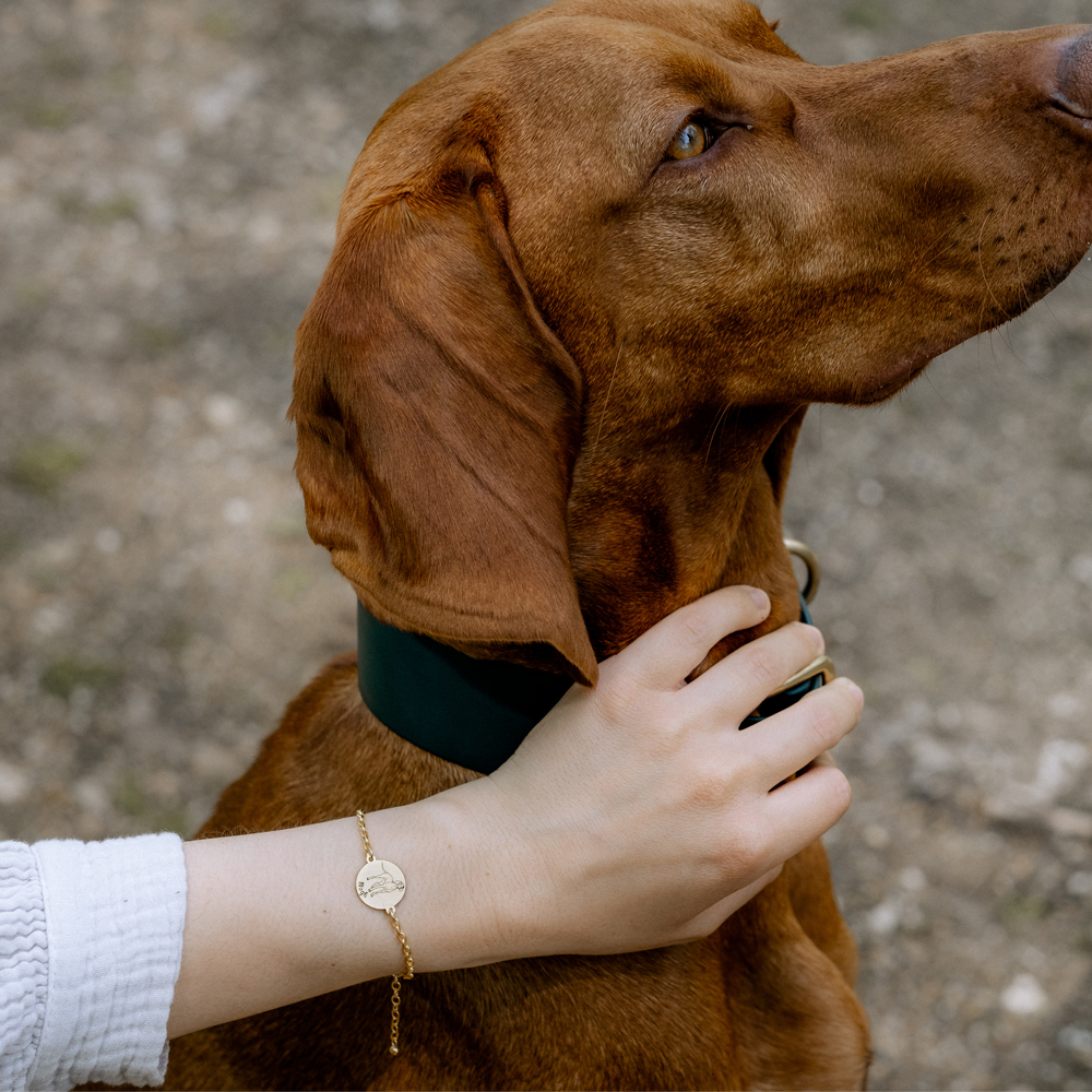 Goldenes Armband mit Hundeporträt Staffordshire Bull Terrier