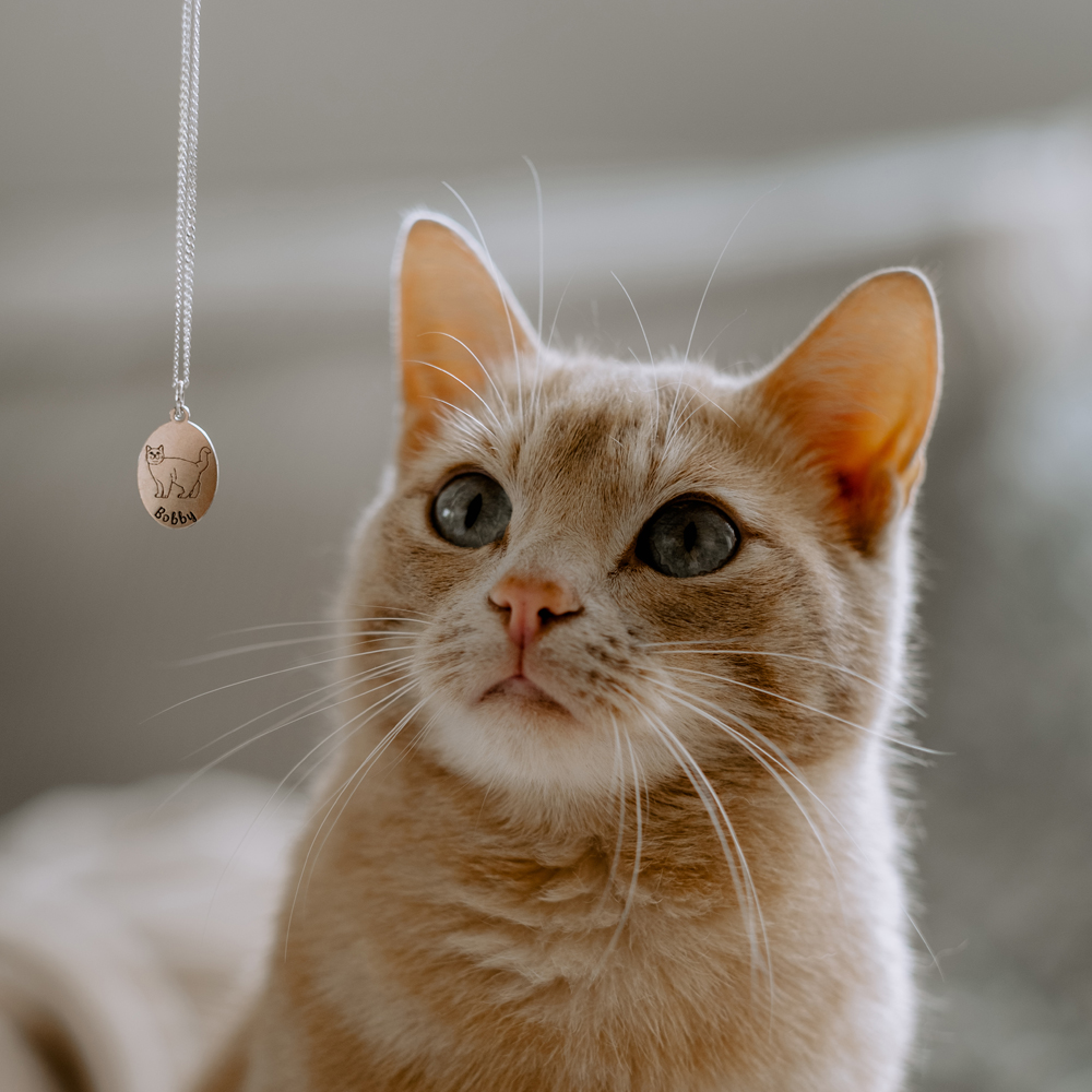 Persoanlisierter Katzenanhänger Norwegische Waldkatze Silber