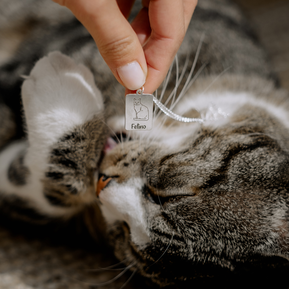 Persoanlisierter Katzenanhänger Norwegische Waldkatze Silber