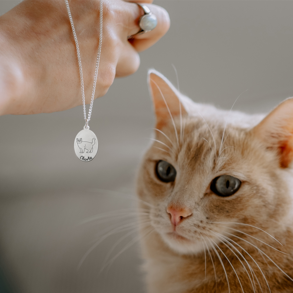 Silbernes Katzen Anhänger mit Name Maine Coon