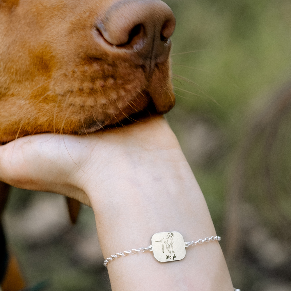 Silbernes Tier Armband Hund Zwergpinscher