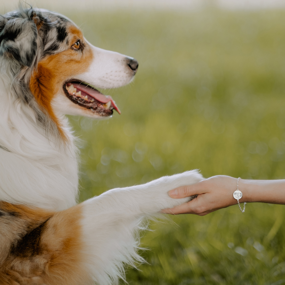 Silbernes Armband mit Hund Labradoodle