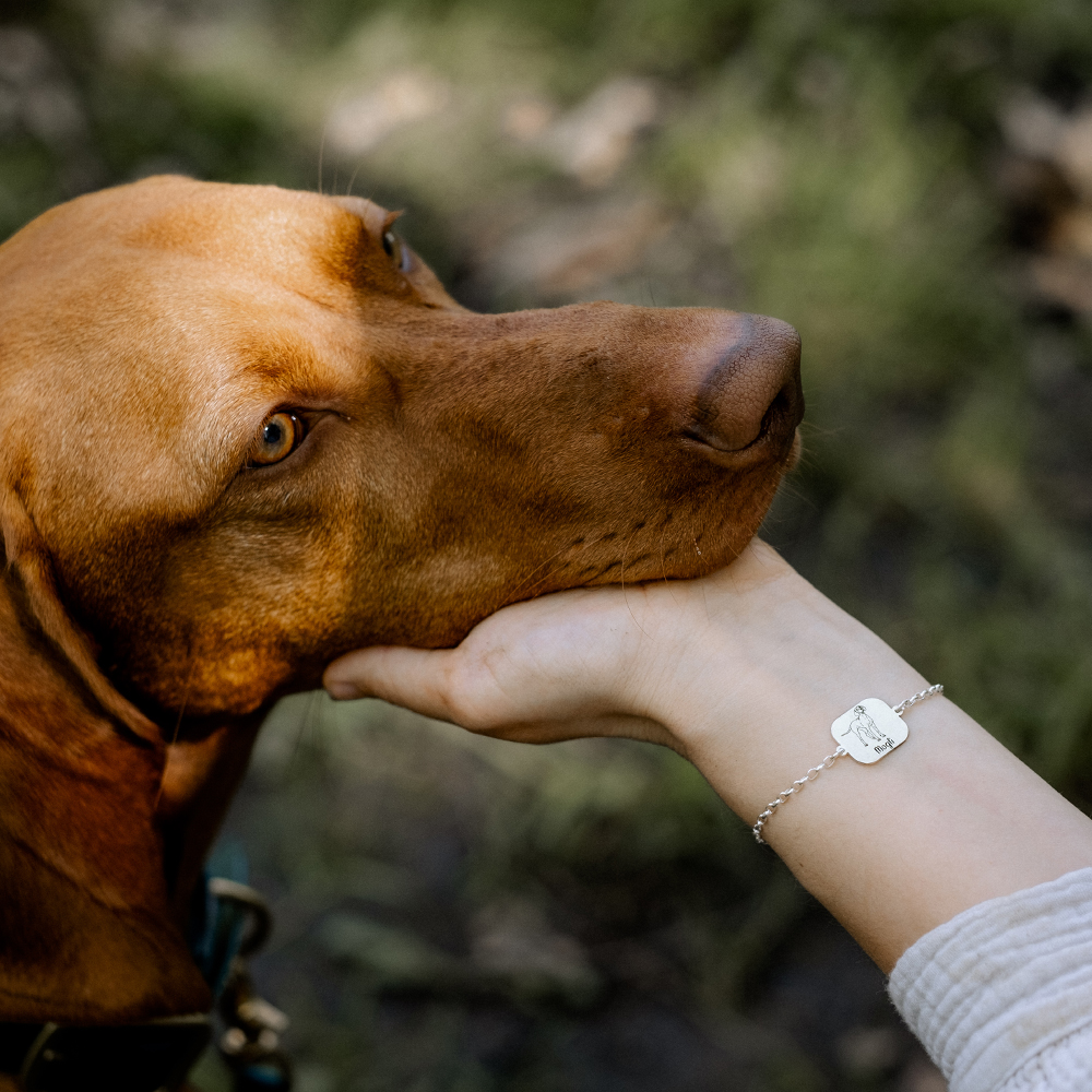 Silbernes Armband mit Hund Labradoodle