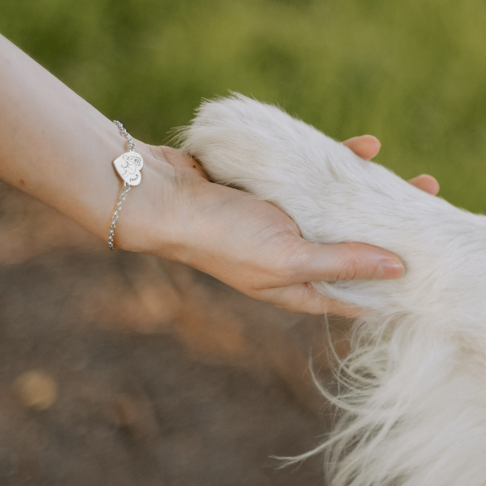 Silbernes Armband Hund Pomeranian silber