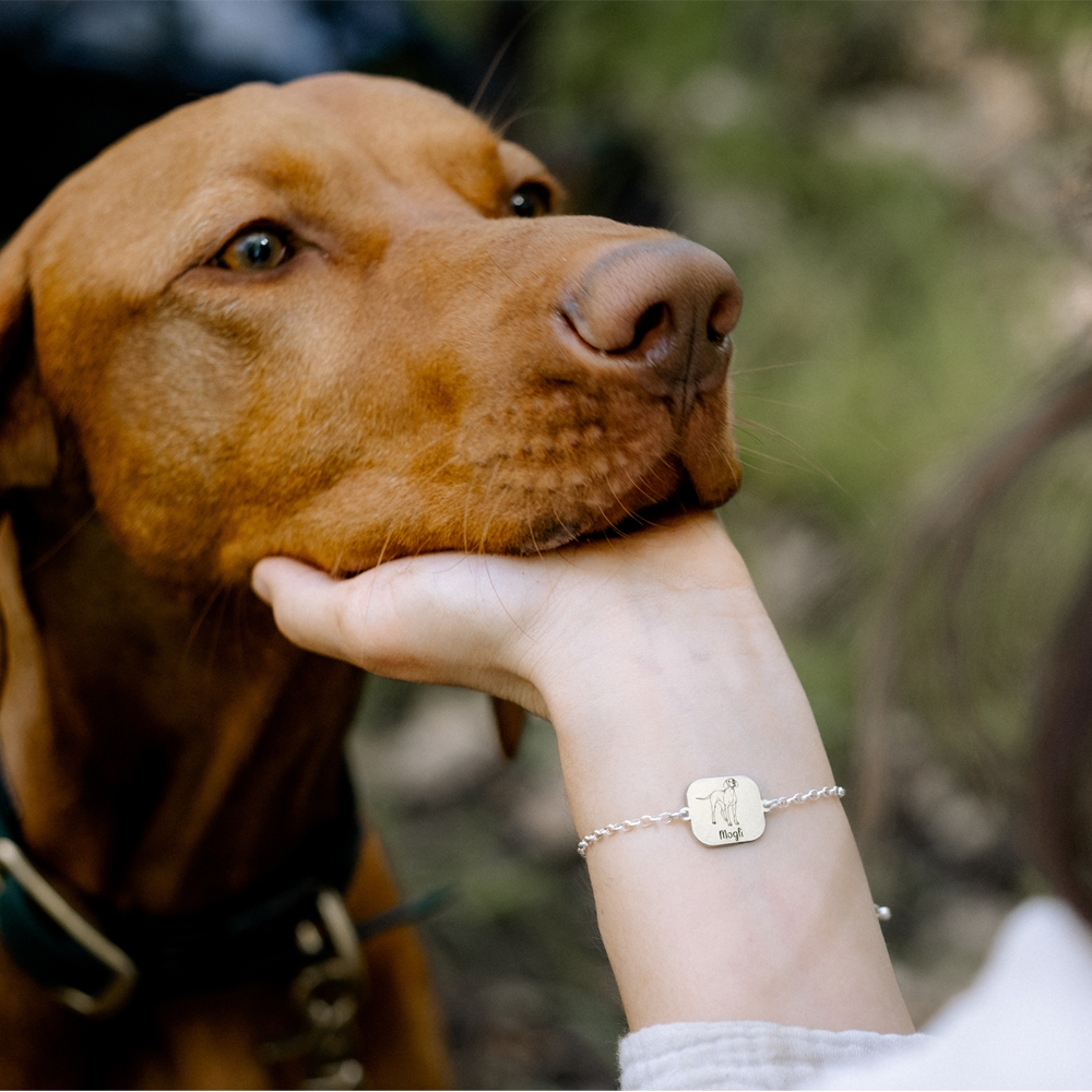 Silbernes Armband mit Namensgravur Hund Pitbull