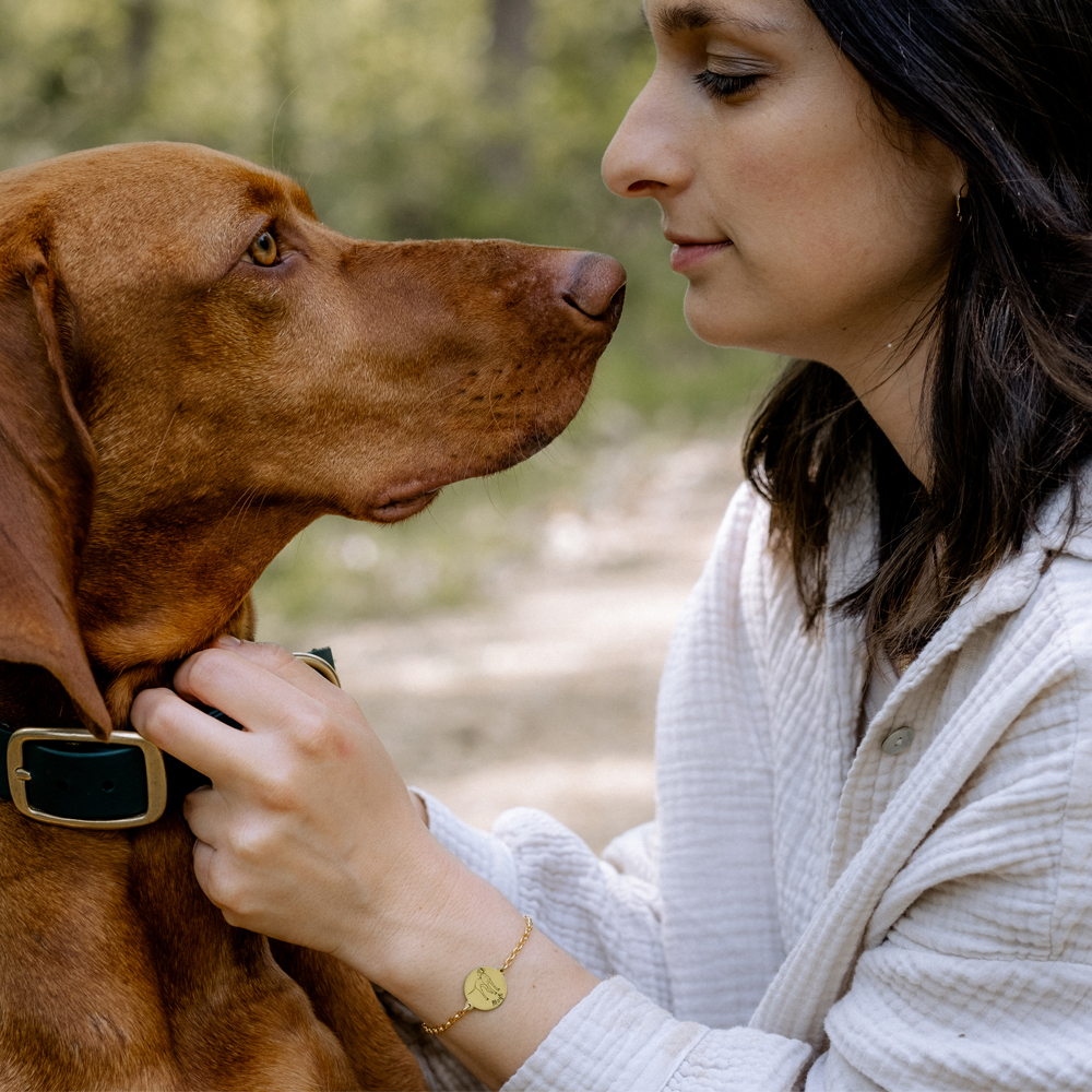 Goldenes Hunde Armband Cavalier King Charles Spaniel