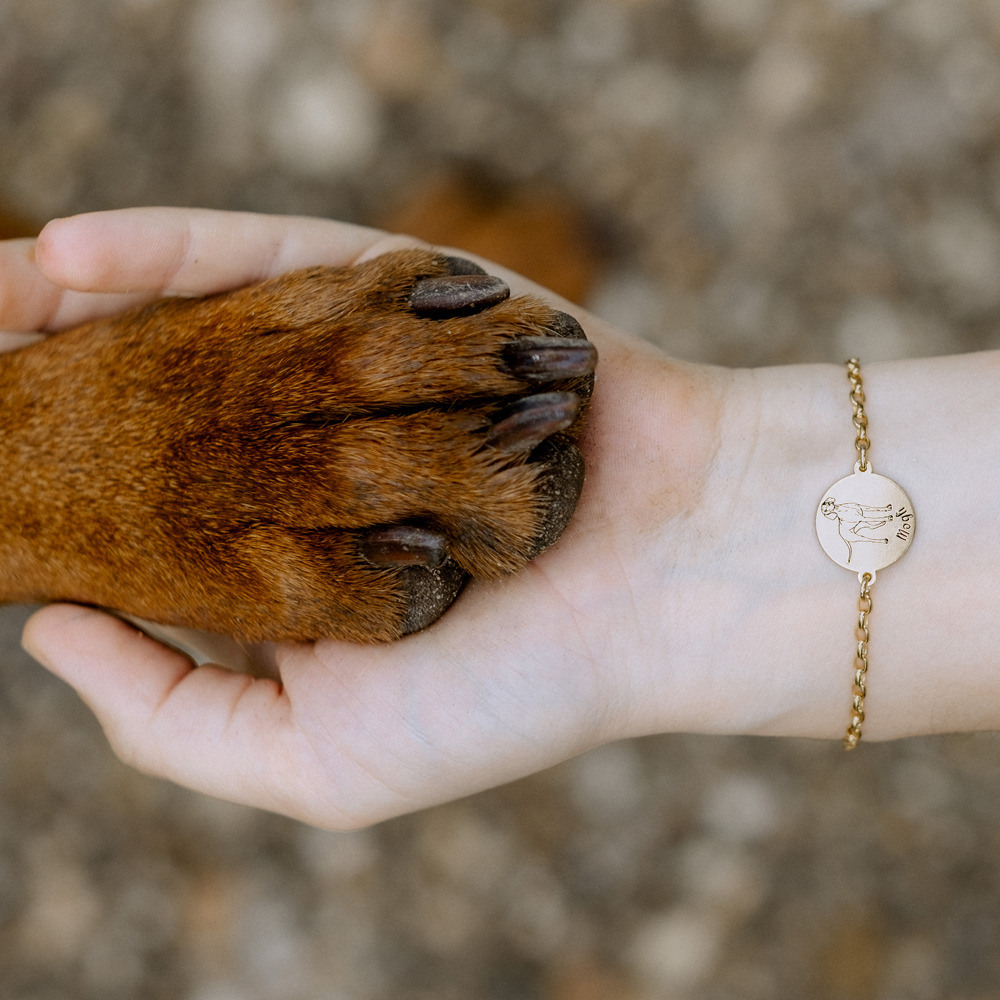 Goldenes Armband Französische Bulldogge