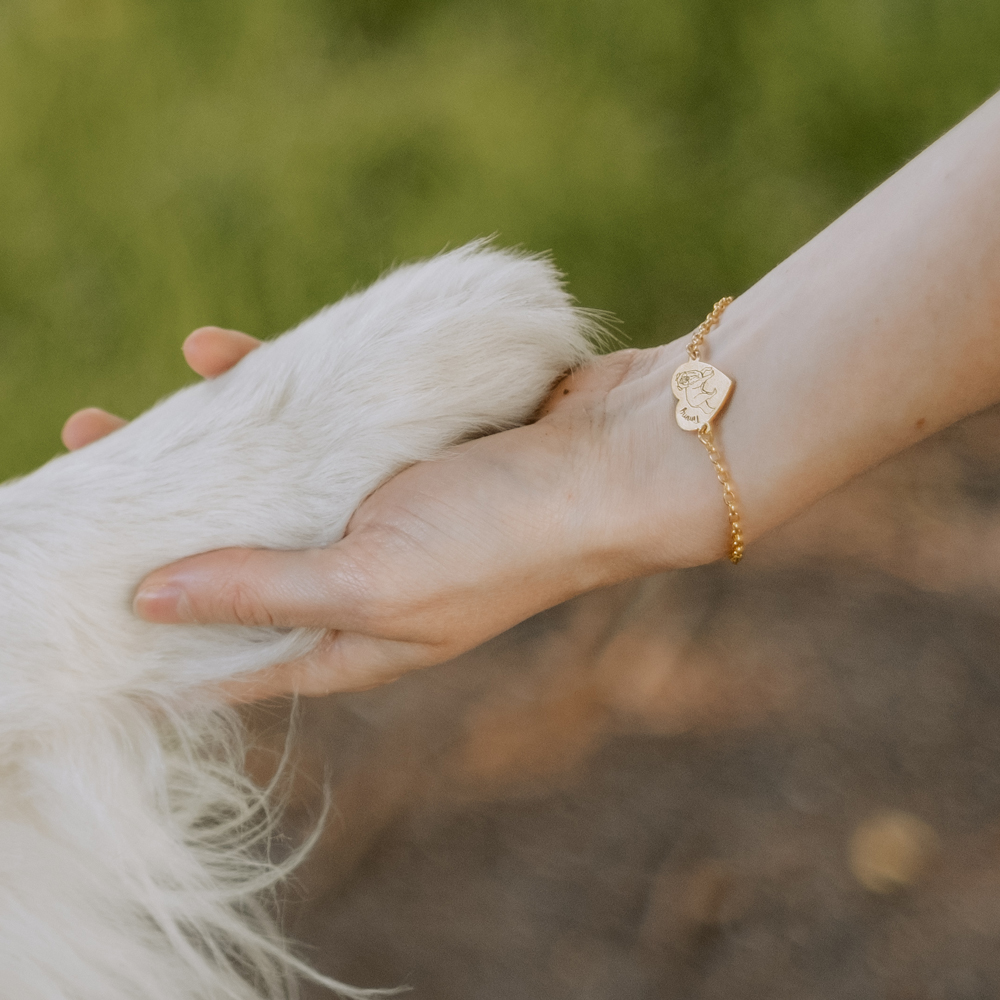 Goldenes Hundearmband mit Name Chow Chow