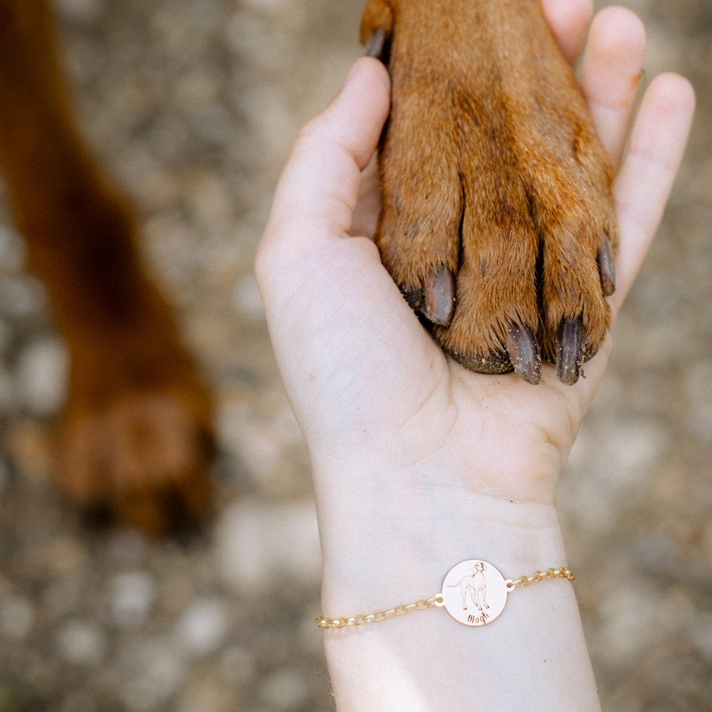 Hunde Armband mit Gravur Dobermann Gold