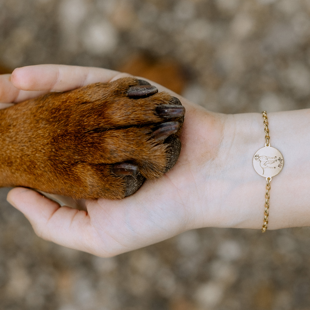 Personalisiertes Goldene Hunde Namensarmband Jack Russel