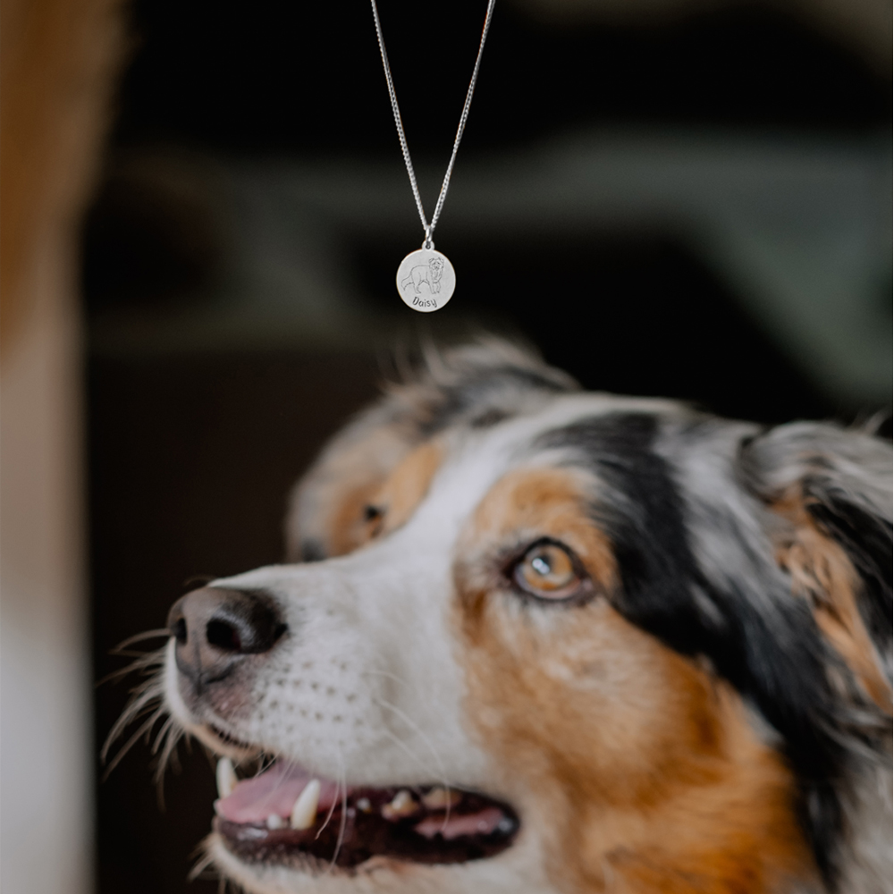 Silberner Hunde Kettenanhänger mit Name Border Collie