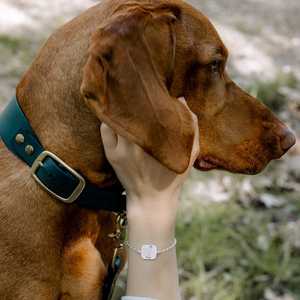 Hunde Armband mit Gravur Dobermann Silber