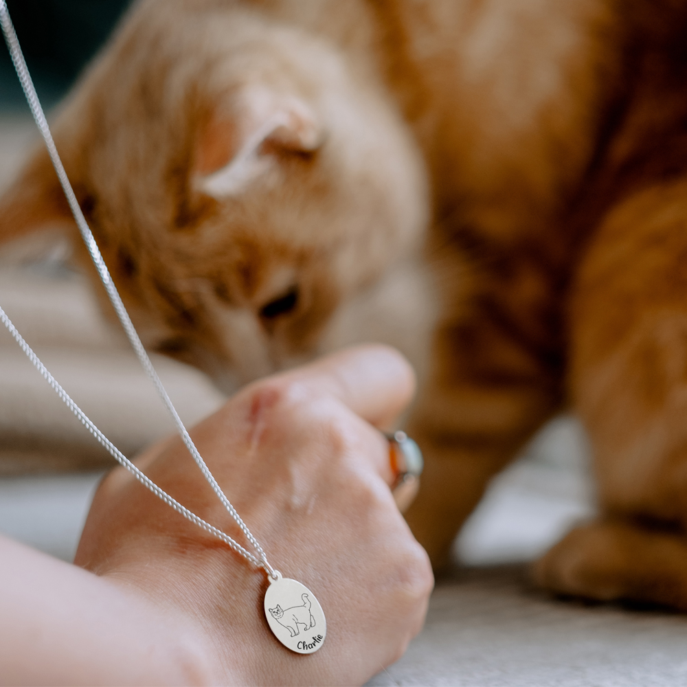 Silberner Anhänger mit Katze Kräuselkatze